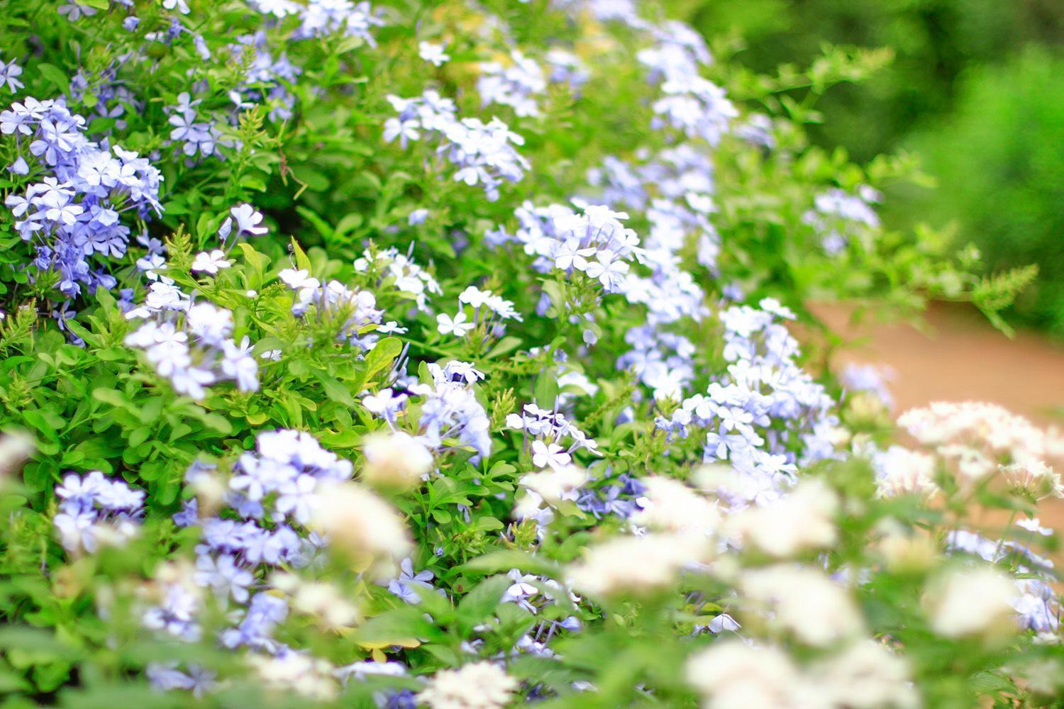 Pottery Flower B&B Jiji Luaran gambar